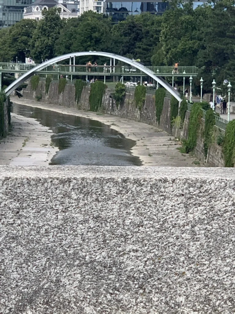 77F6452B-ABED-4ADF-AEEA-F874CD7C0504-768x1024 The treacherous water sprite