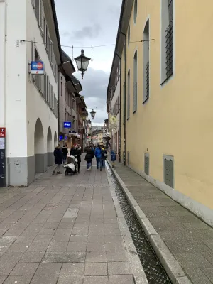 B7AFAECF-F065-4C5B-852C-F70784BF24E9 The Bächle with dragon power