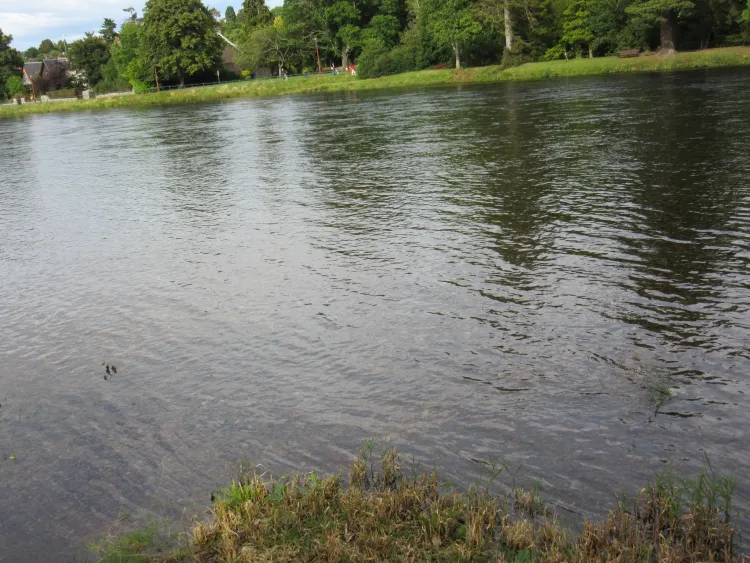 img_1244 In search of Nessie in Loch Ness