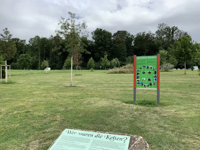 0A536603-5918-44F4-A4B3-32CFC7C6EAAB The Celtic tree circle: Every person is assigned a tree of life