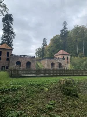 561209381_122115414476995326_7562404830815772121_n The Cherries of Tschifflick: A tale of royal resilience and forbidden gardens