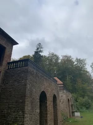 564668352_122115414434995326_5434948688336733095_n The Cherries of Tschifflick: A tale of royal resilience and forbidden gardens