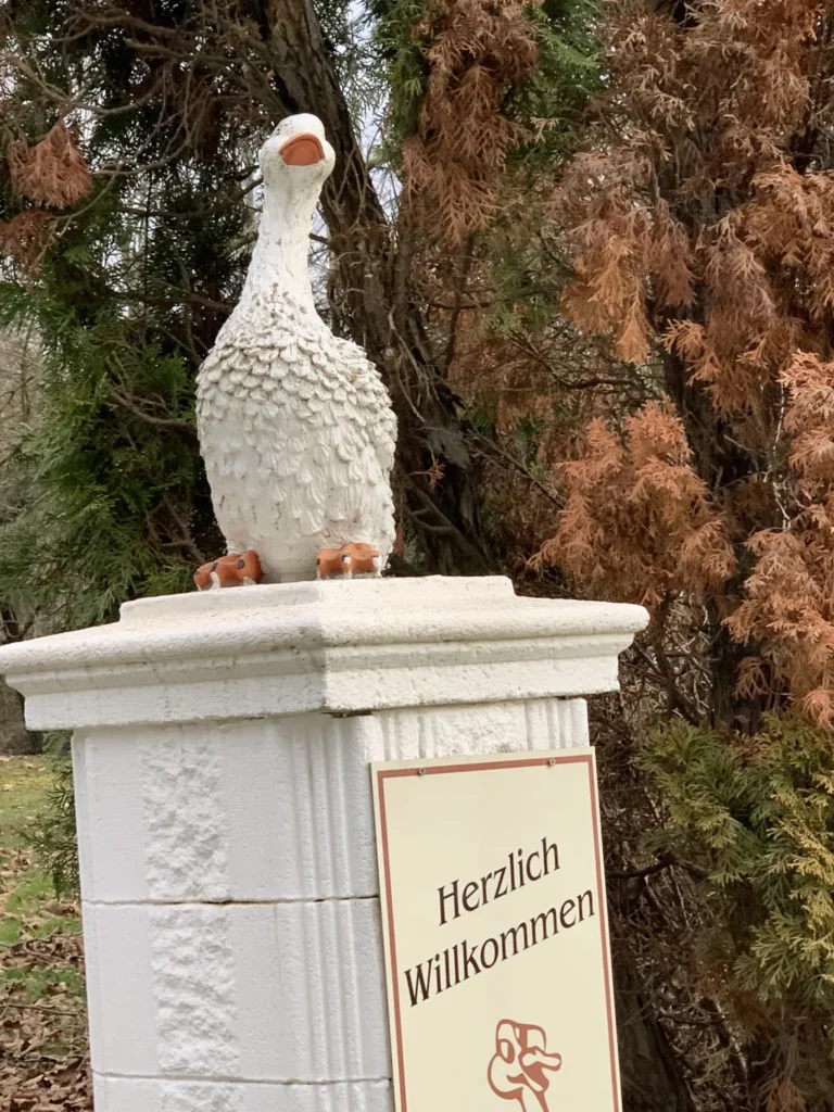 6A8FAE8A-41A1-46C0-B5F3-48B2CB7DCA70-768x1024 The geese that put an entire army to flight