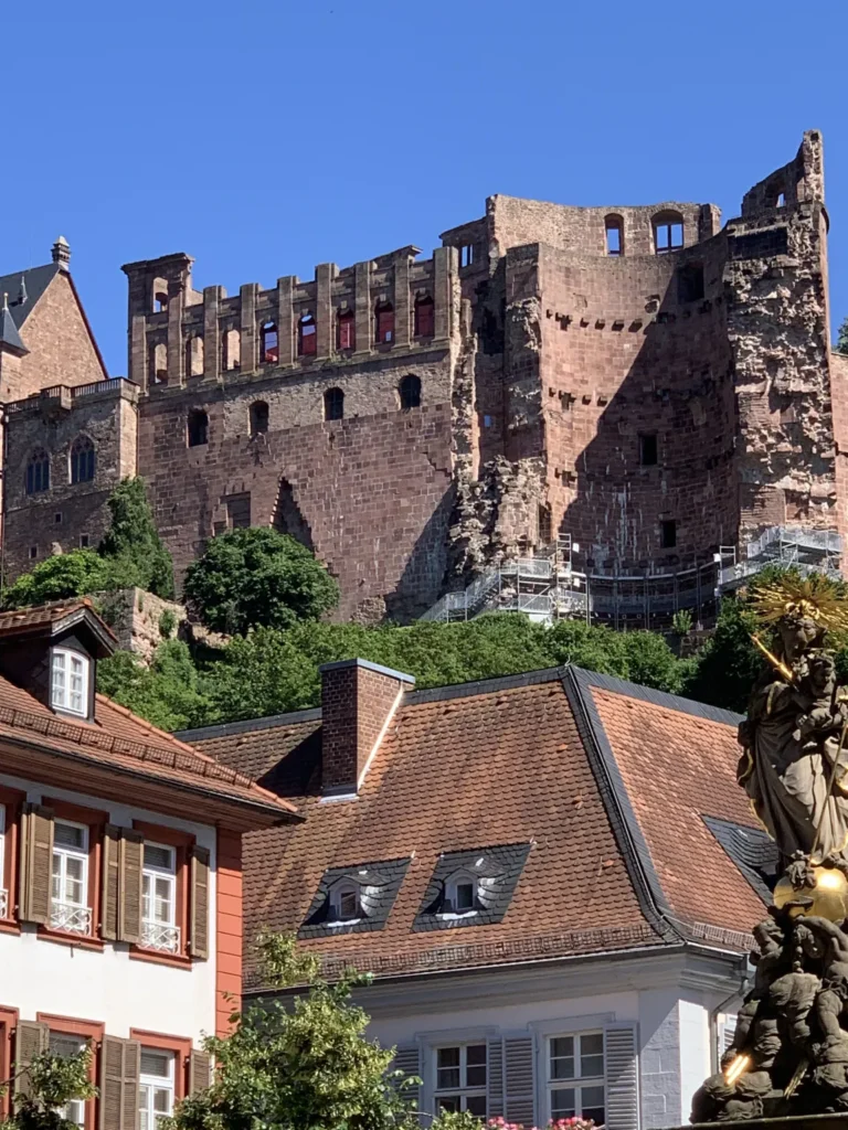 F62B9240-8E3F-4614-B202-87D916A93F34-768x1024 The chain-rattling calf