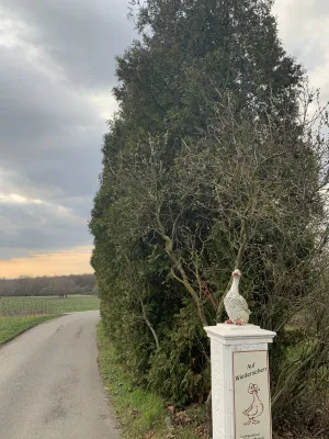 F88C81A9-0B32-410A-A45D-901B47516F30 The geese that put an entire army to flight