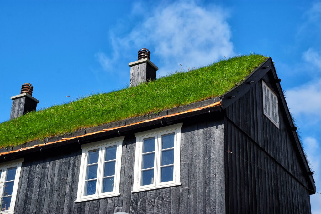 house-with-grass-roof-torshavn-denmark-eco-friendly-building-architecture-design-destination-place-ecology-environment-summer-vacation-countryside-1024x685 The Enchanting Legend of Tórshavn's Selkies