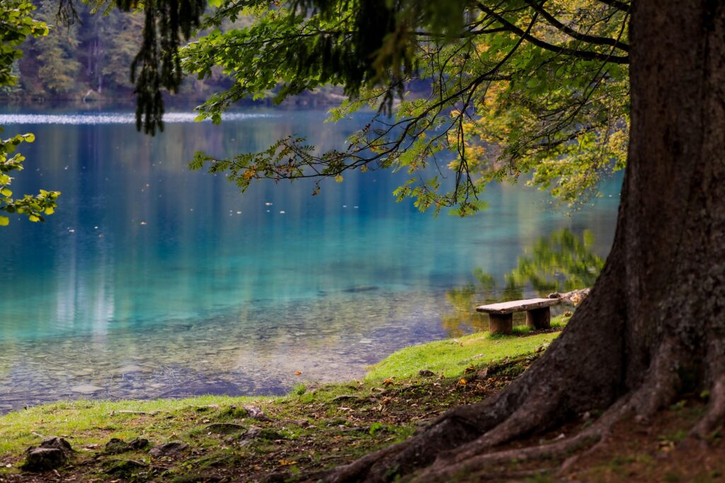 bench-is-sitting-tree-water-is-blue-1024x683 The Mysterious Blue Pool: Unveiling Mysteries and Myths