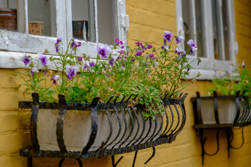 102453 The Mysterious Guardian: How Bornholm’s Troll Krølle-Bølle Protects the Island