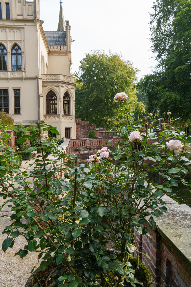114254 The Mysterious Secrets of the Fern Cube: A Timeless Journey Through the Gardens of Evenburg