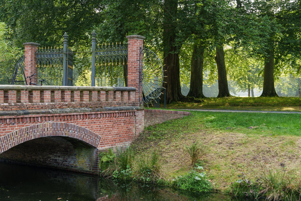 114256 The Mysterious Secrets of the Fern Cube: A Timeless Journey Through the Gardens of Evenburg