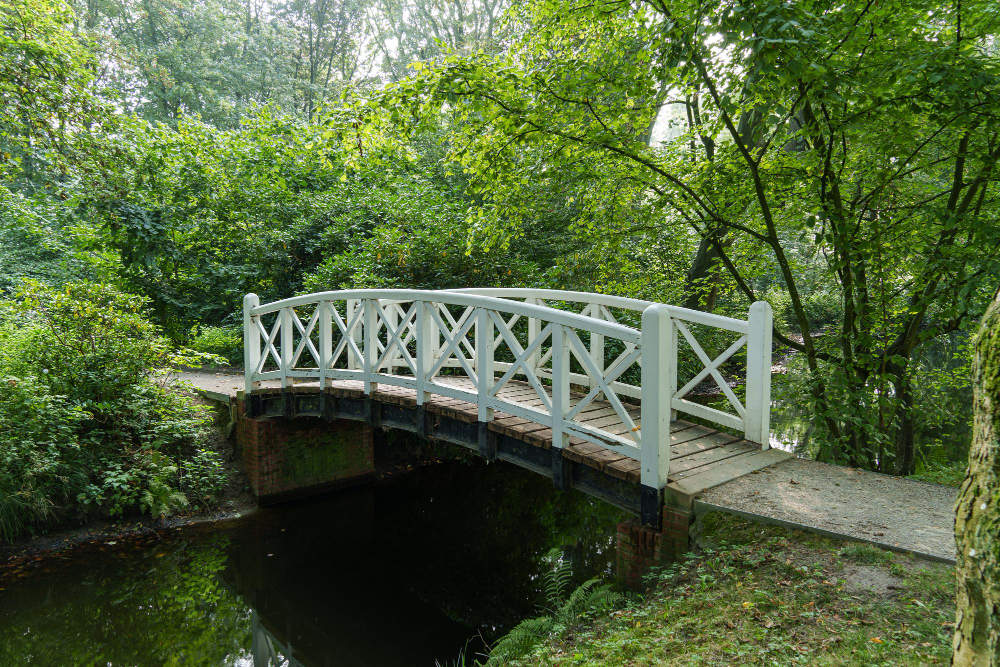 114269 The Mysterious Secrets of the Fern Cube: A Timeless Journey Through the Gardens of Evenburg