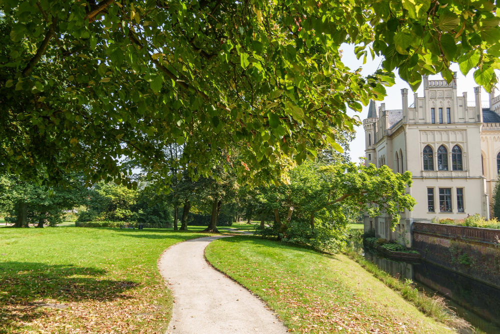 114435 The Mysterious Secrets of the Fern Cube: A Timeless Journey Through the Gardens of Evenburg