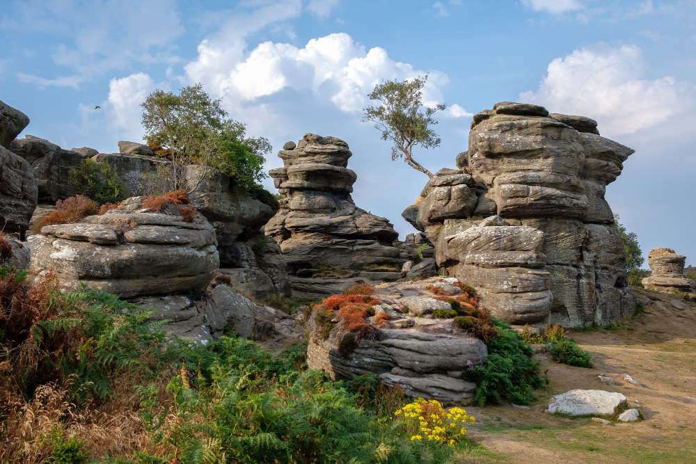 1599 The Secrets of Brimham Rocks: A Legend About the Druid Stone