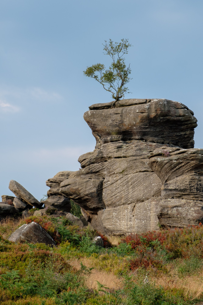 1601 The Secrets of Brimham Rocks: A Legend About the Druid Stone