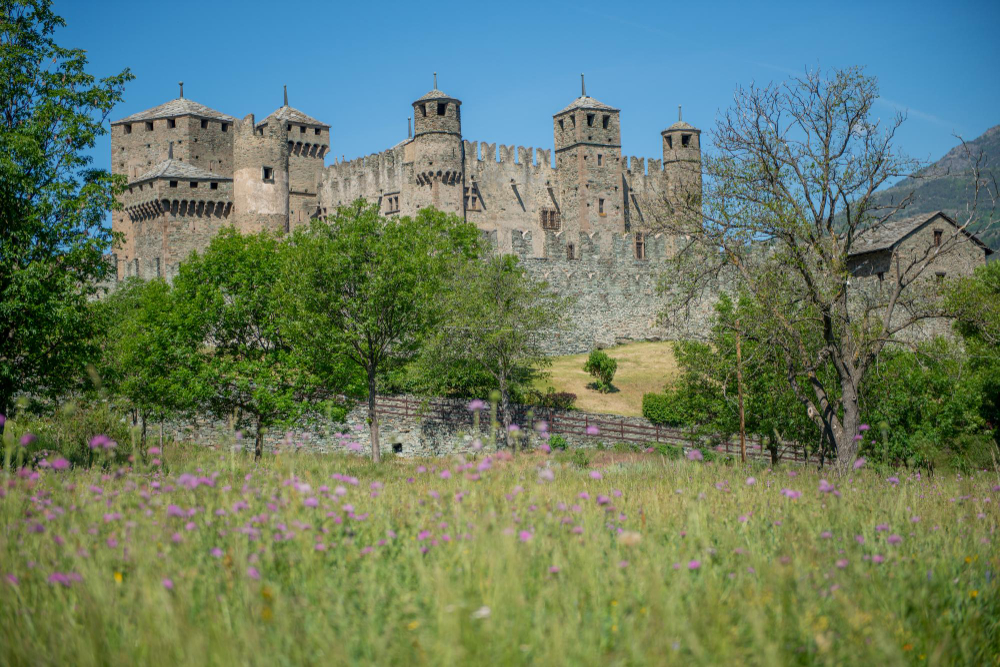 2909 The Legend of the “Barbuta” and Castello di Fénis: Between History and Myth