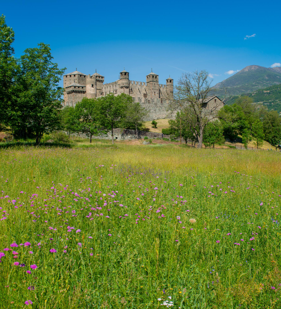 2911 The Legend of the “Barbuta” and Castello di Fénis: Between History and Myth