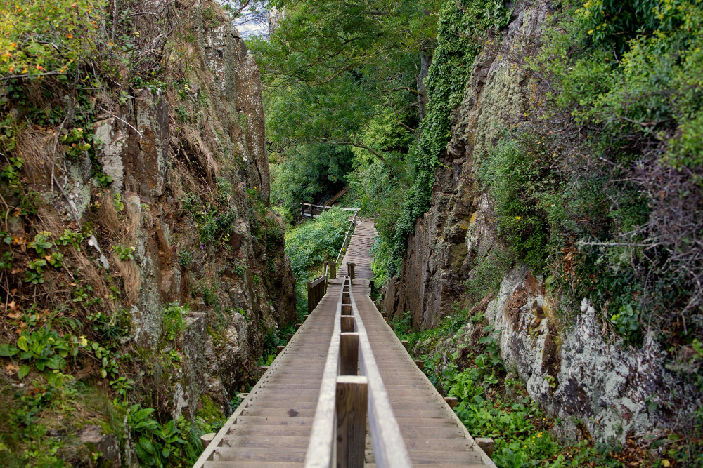 322 The Mysterious Guardian: How Bornholm’s Troll Krølle-Bølle Protects the Island