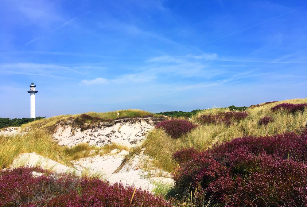 466 The Mysterious Guardian: How Bornholm’s Troll Krølle-Bølle Protects the Island
