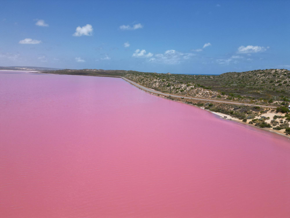 49756 Lake Hillier – Australia’s mysterious pink lake, which fascinates scientists and adventurers alike