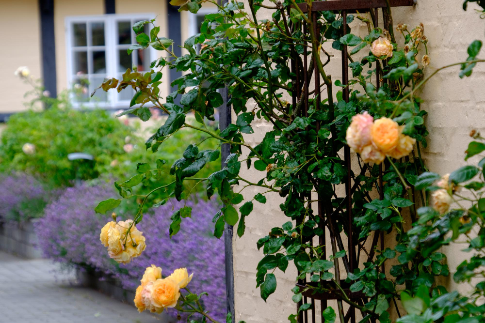 9225 The Mysterious Guardian: How Bornholm’s Troll Krølle-Bølle Protects the Island