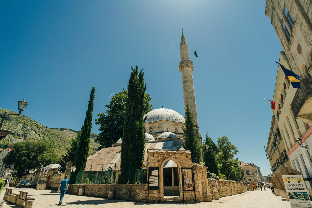 9468 The Mysterious Disappearance of the Enchanting Lepa Brena