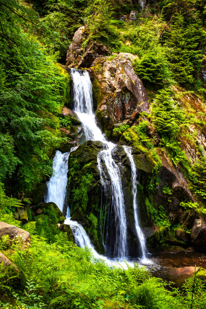 cascade-waterfalls-triberg-schwarzwald-travel-germany-683x1024 Falling Tears: The Unforgettable Legend of Gutta von Triberg