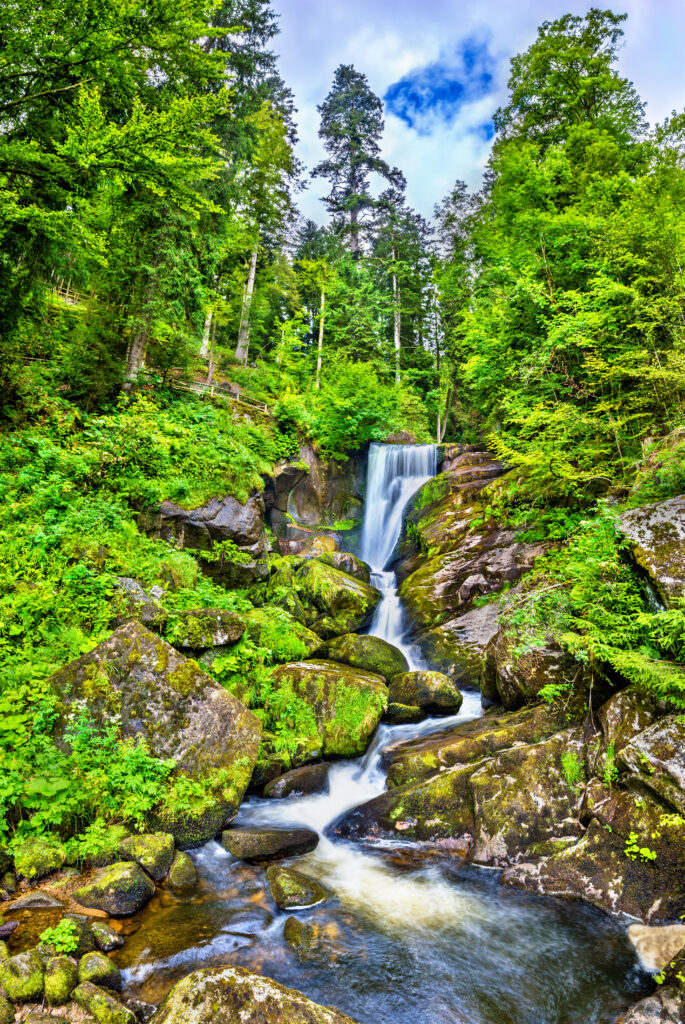 triberg-falls-one-highest-waterfalls-germany-black-forest-region-1-685x1024 Falling Tears: The Unforgettable Legend of Gutta von Triberg