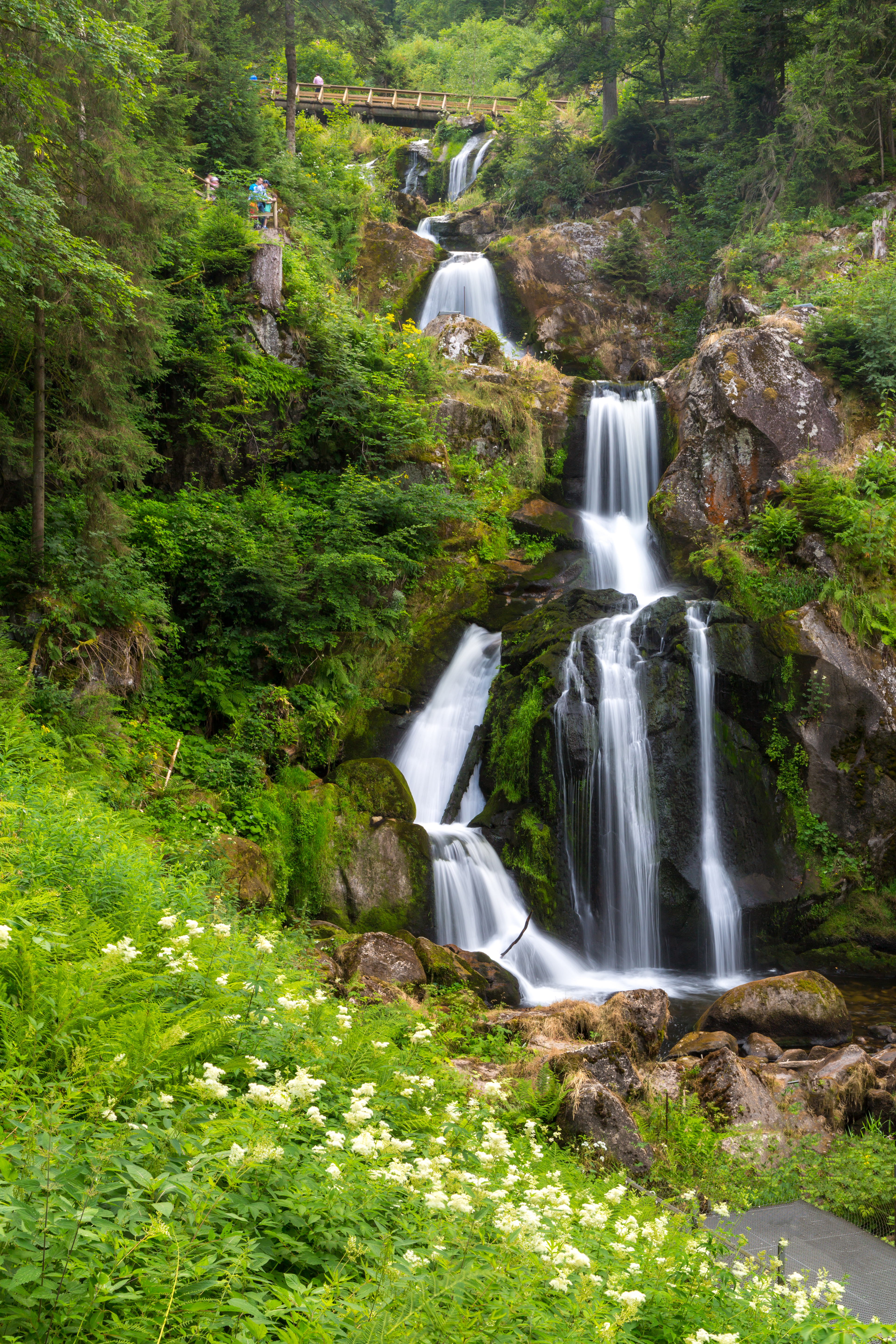 triberg-waterfalls Falling Tears: The Unforgettable Legend of Gutta von Triberg