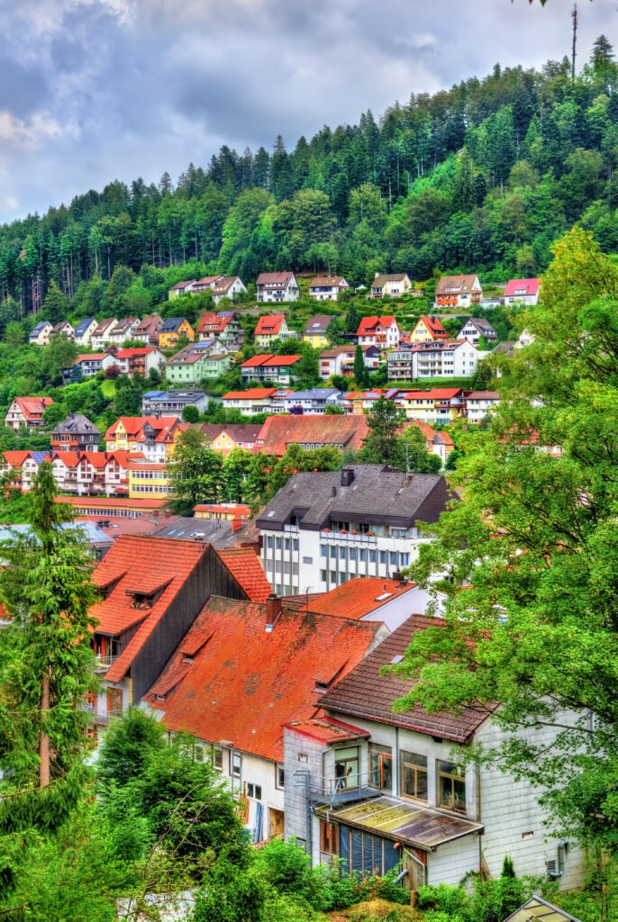 view-triberg-im-schwarzwald-town-germany-badenwurttemberg-686x1024 Falling Tears: The Unforgettable Legend of Gutta von Triberg
