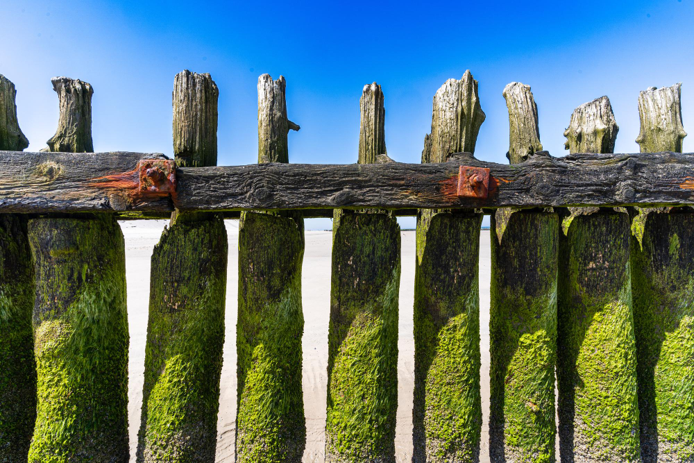 105 The Golden Secret of Norderney: The Mysterious Legend of the Sunken Ship