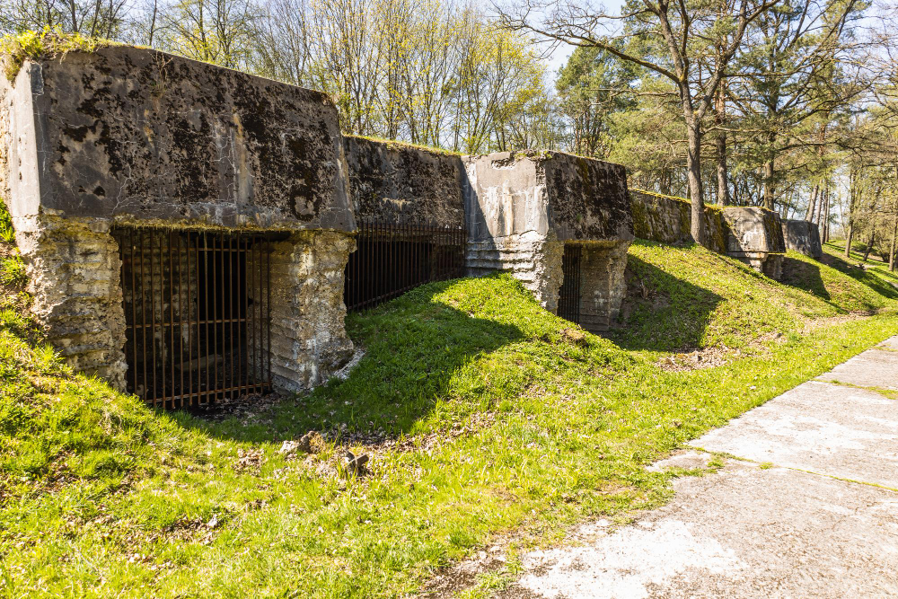 114 The Virgin of Kaunas: How a Woman Became the Savior of a City