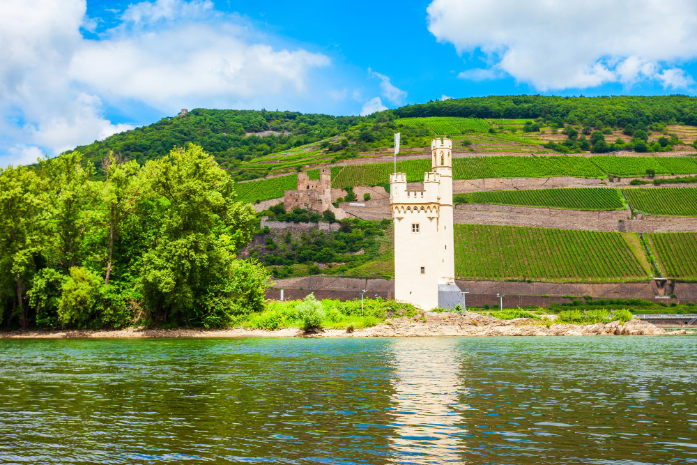 11673 The Mysterious Ehrenfels Castle and the Castle Lady’s Ancient Winemaking Expertise
