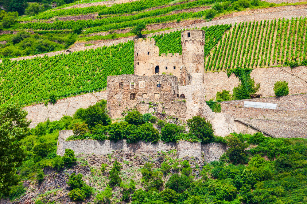 11675 The Mysterious Ehrenfels Castle and the Castle Lady’s Ancient Winemaking Expertise