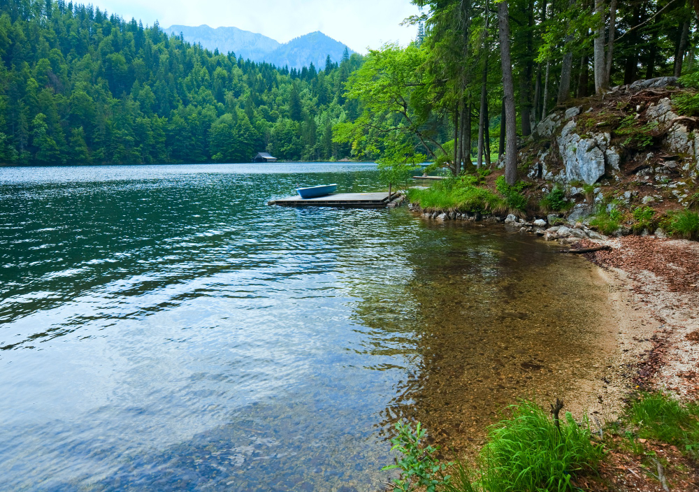 1217 The Treasure of Lake Toplitz: Secrets and Myths of a Dark Chapter in History