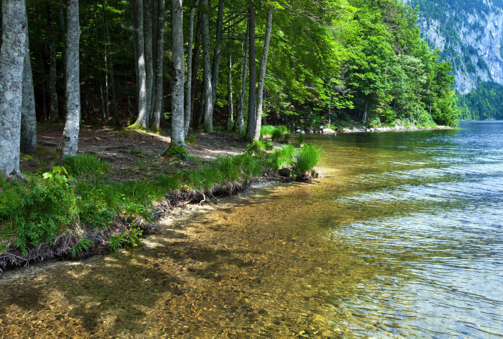 1219 The Treasure of Lake Toplitz: Secrets and Myths of a Dark Chapter in History