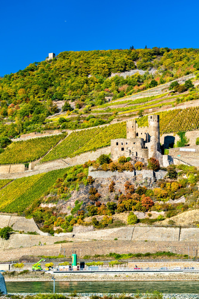 16107-1 The Mysterious Ehrenfels Castle and the Castle Lady’s Ancient Winemaking Expertise