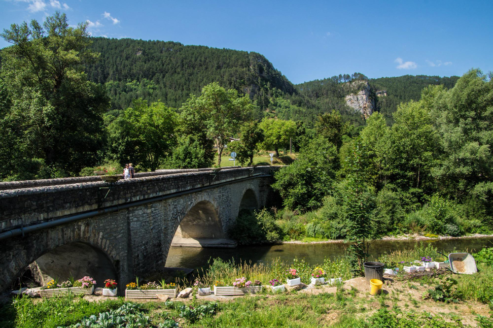 1897 The Beast of Gévaudan: A Mystery Between Legend and Reality