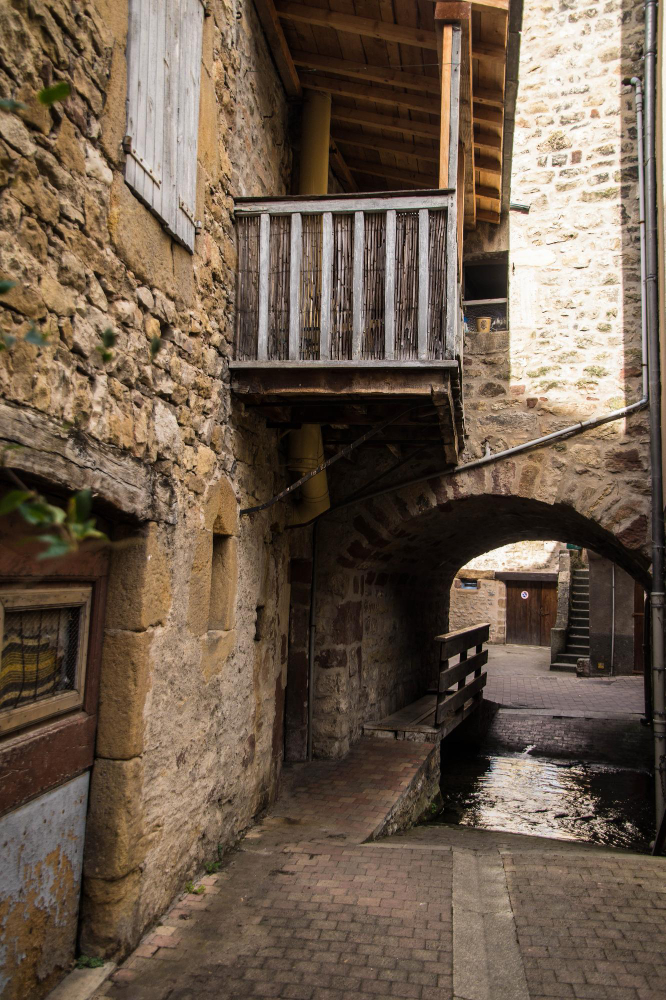 1904 The Beast of Gévaudan: A Mystery Between Legend and Reality