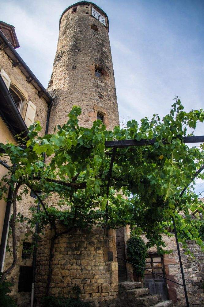 1905 The Beast of Gévaudan: A Mystery Between Legend and Reality