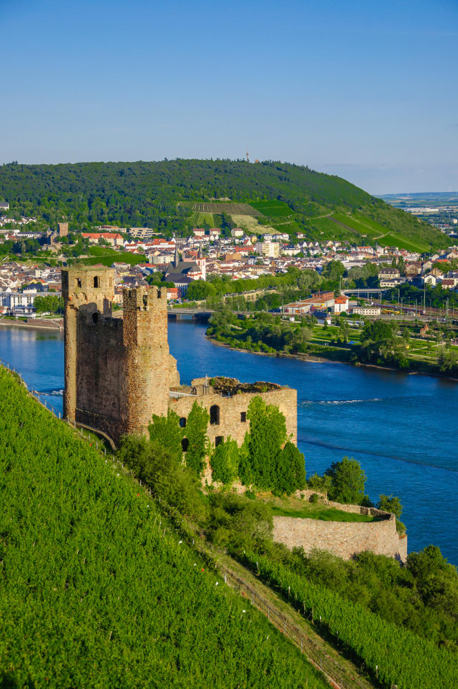 1976 The Mysterious Ehrenfels Castle and the Castle Lady’s Ancient Winemaking Expertise