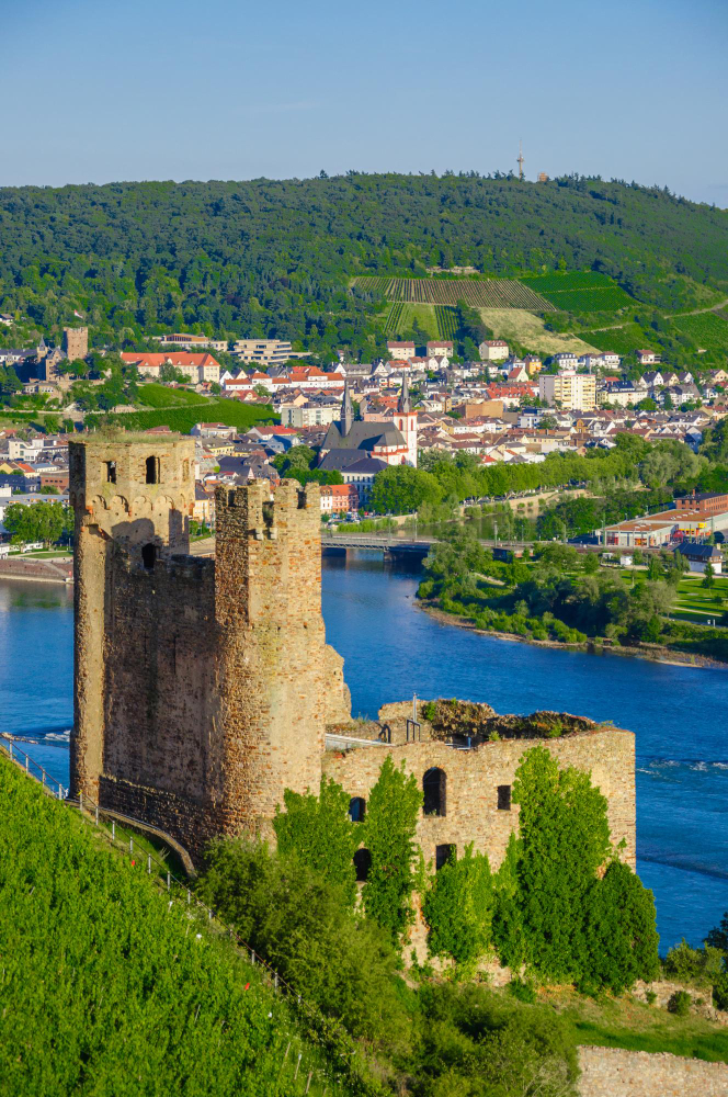 1977 The Mysterious Ehrenfels Castle and the Castle Lady’s Ancient Winemaking Expertise