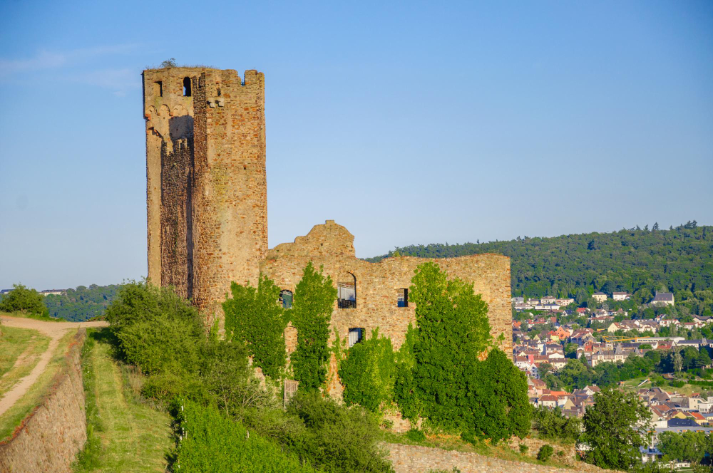 1980 The Mysterious Ehrenfels Castle and the Castle Lady’s Ancient Winemaking Expertise