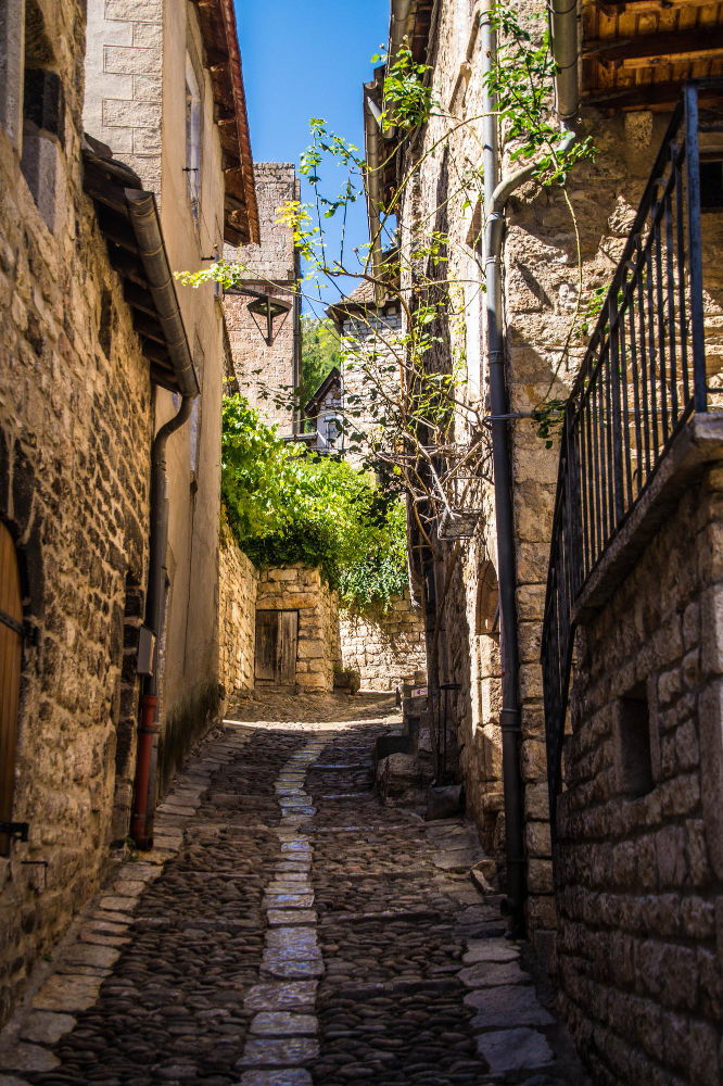 1986 The Beast of Gévaudan: A Mystery Between Legend and Reality