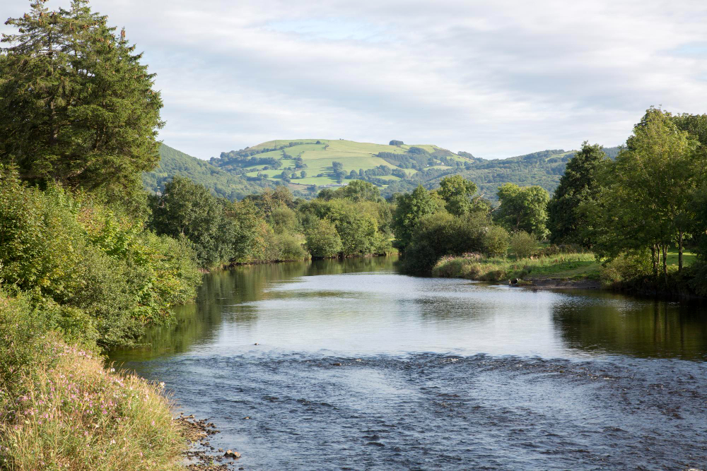 3314 The Legend of the Conwy Mermaid: A Mystical Secret of a Welsh River