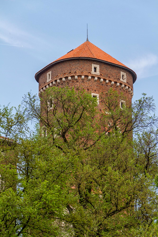 34734 The Dark Legend of the Wawel Dragon: A Terror in Kraków