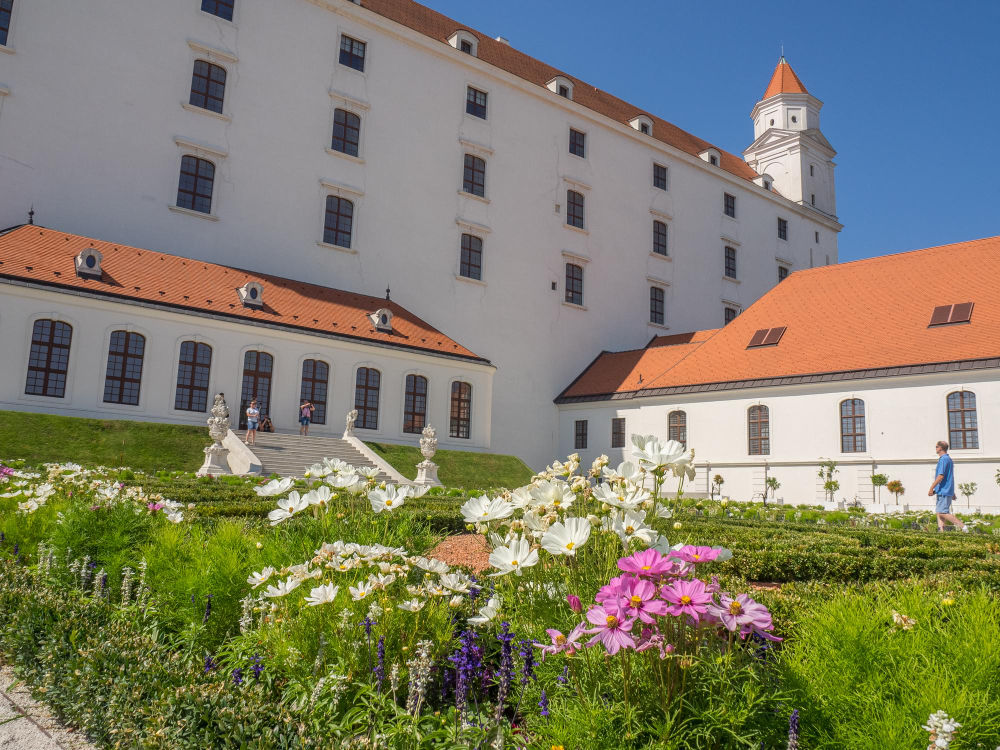 48533 The Golden Horse of Bratislava – A Legend from Times Long Past