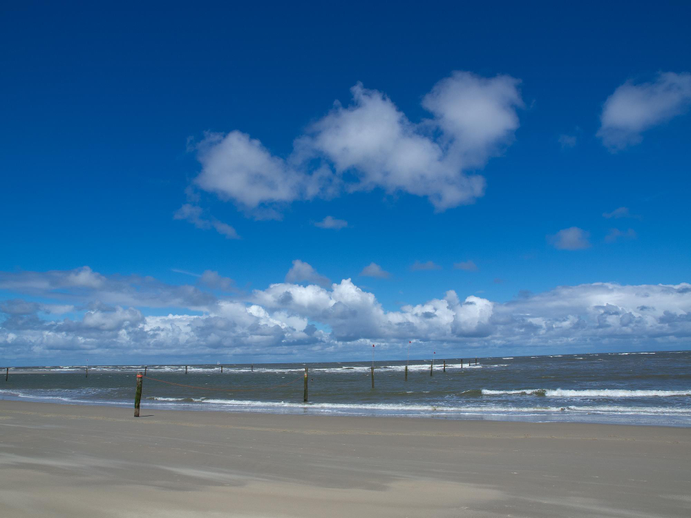 51853 The Golden Secret of Norderney: The Mysterious Legend of the Sunken Ship