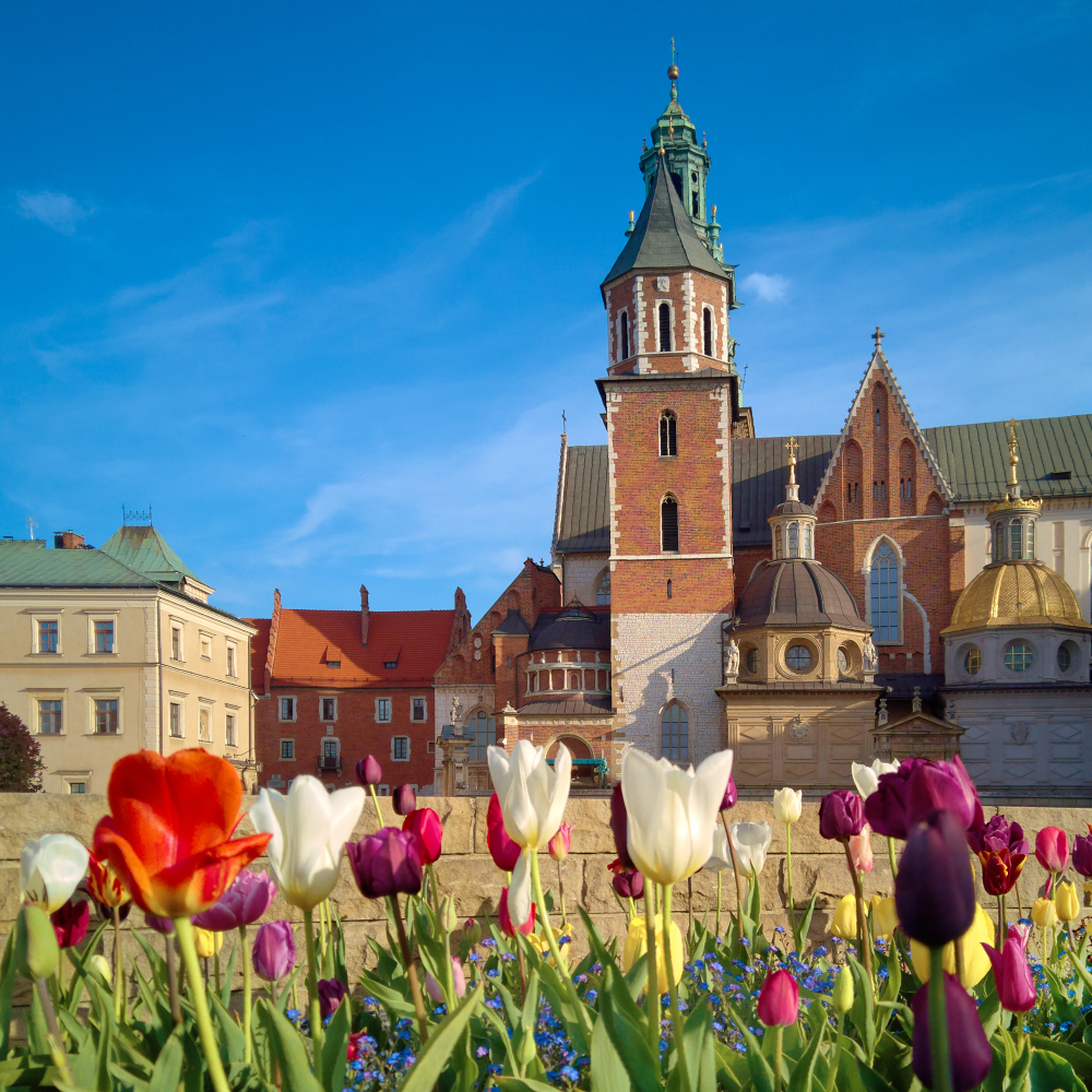 7205 The Dark Legend of the Wawel Dragon: A Terror in Kraków