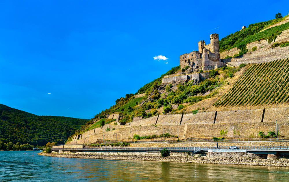 8234-1 The Mysterious Ehrenfels Castle and the Castle Lady’s Ancient Winemaking Expertise