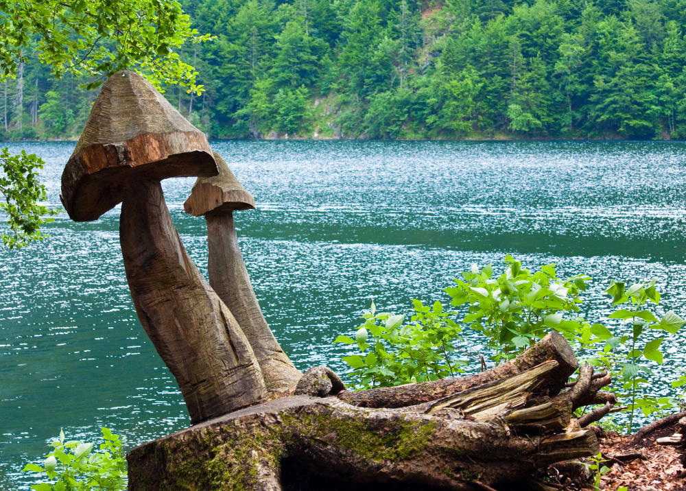 8264 The Treasure of Lake Toplitz: Secrets and Myths of a Dark Chapter in History